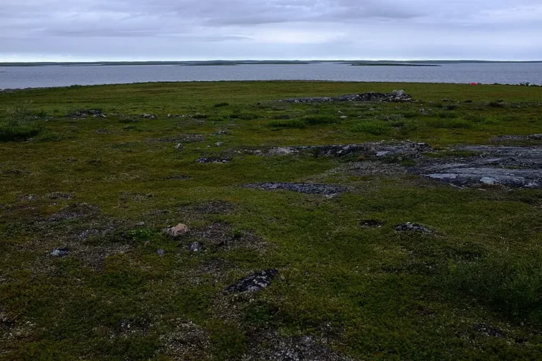 The Village That Vanished Overnight: Canada’s Chilling Arctic Mystery