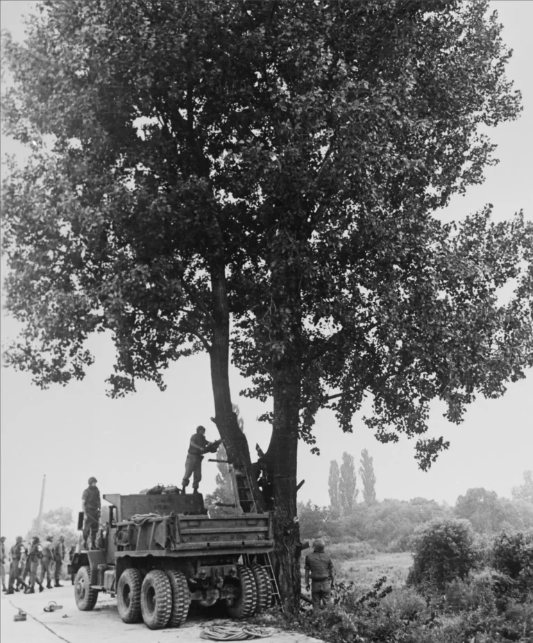 Operation Paul Bunyan: Chainsaws on the Brink of War