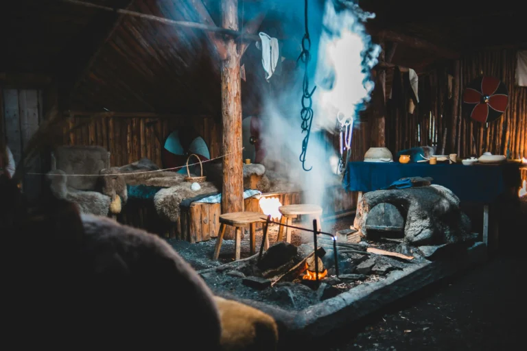 Viking Diseases: Deadly Illnesses That Shaped Norse History